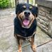Erin Nault - Facebook