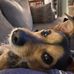 Erin Naylor - Facebook