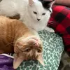 erinnaylor535 - @erinnaylor535 - TikTok