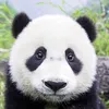 Erin._.NEW - @erin._.new - TikTok