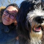 Erin Nowak - @otherpeoples_pups - Instagram