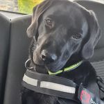 Catherine Oldham - @catherine.oldham.77 - Instagram