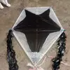 papagayos erin - @erin.papagayo - TikTok