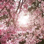 Caterina Pecoraro - @caterina.pecoraro.37 - Instagram