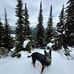 Erin Pennington-Park - Facebook