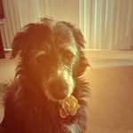 erin - @polly_sadie_erin - Instagram
