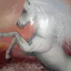 timetoRide - @erinponder - TikTok