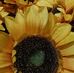 Erin Prater - Facebook
