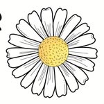 Erin Kerr | Paper Daisy Press - @paper.daisy.press - Instagram