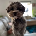 Erin Press - @ez_gourlay - Instagram