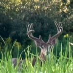 Eric Purington - @swampdonkeyjk_07 - Instagram