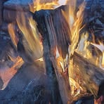 Aaron Rasch - Facebook