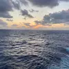 Erin Bradley - @erin.bradley70 - TikTok