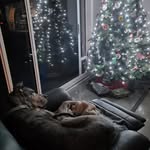 Erin Rayner - @ponypals_of - Instagram