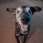 Erin Reddick-Stout - @erinfromthefarm - Instagram