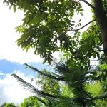 Erins Place - @erinsplace_resort - Instagram