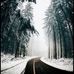 Erin Rickman - Facebook