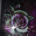 Erin Rickman - Facebook