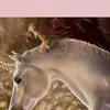 Erinrico123457 - @hdktvnl - TikTok