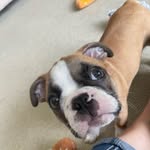 Erin Ridgley - @erin_ridgley9 - Instagram
