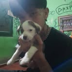 Erwin Rejala - Facebook