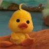 erin - @erinringoaway - TikTok