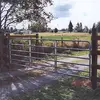 erinritchie29 - @erinritchie29 - TikTok