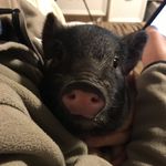 Erin Roach - @erinsroachsfinstaa - Instagram