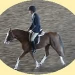 Erin Roach | Horse training & EC Licensed Coach - @up2nwider - Instagram