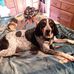 Erin Roark - Facebook