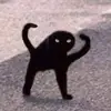 spirtualstump - @erinroddyy - TikTok