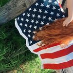 Erin Rollins - @rinnys_photography - Instagram
