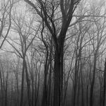 erin rollins | gloomy black and white photography - @sombrescenes - Instagram