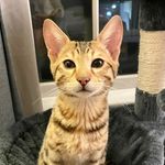Erin Rumsey - @e.e.rumsey - Instagram