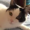 Erintherumsey - @erintherumsey - TikTok