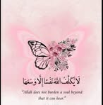 Saba Arain - Facebook