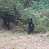 Erin Sample - @erin.sample0 - TikTok