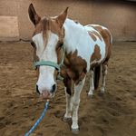 Erin Sampson - @eesspam - Instagram