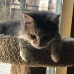 Erin Tatum Schaper - @schaper6 - Instagram