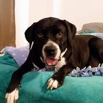 Erin Schenck - @schenckstagramer - Instagram