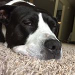 Erin Shetter - @eshetter3 - Instagram