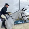 Erin Duffy Show Stables - @erinduffy.showstables - TikTok