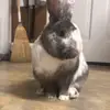 Erin Sides - @erin.sides - TikTok