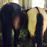 Erin Sisson - @bourbonandbays - Instagram