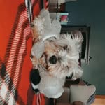 Erin sisson - @sissonerin12 - Instagram