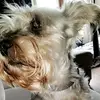 Erin Sisson - @erinsisson6 - TikTok