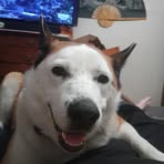 Erin Smith - Facebook