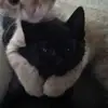 erin.smith - @erin.smith105 - TikTok
