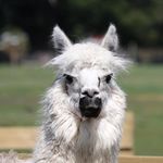 Erin Snell - @erin.snell.3 - Instagram