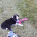 Erin Soper - Facebook